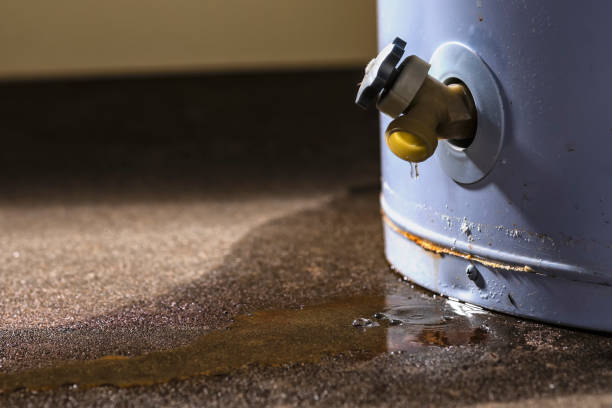 Best Professional water damage repair  in Ladysmith, WI