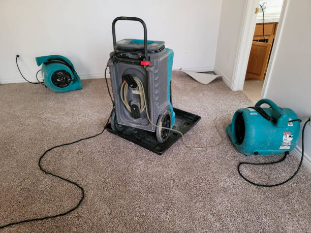 Best Water damage restoration near me  in Ladysmith, WI