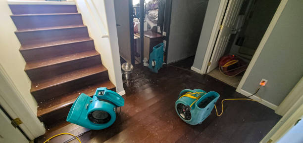 Best Carpet water damage restoration  in Ladysmith, WI