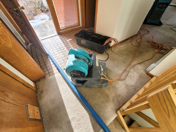 Carpet water damage restoration in WI