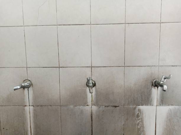 Best Fire Damage Restoration  in Ladysmith, WI